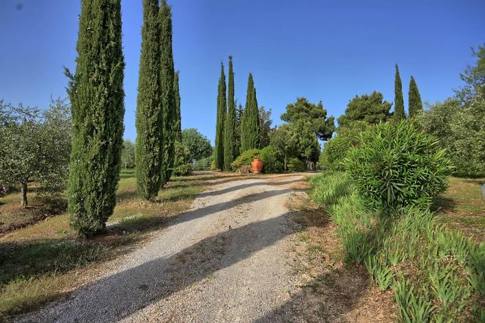 Image No.6-6 Bed Farmhouse for sale