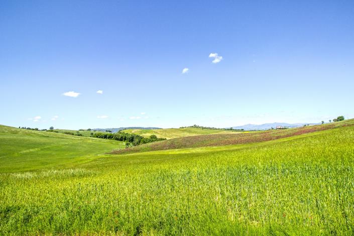 Image No.6-4 Bed Farmhouse for sale