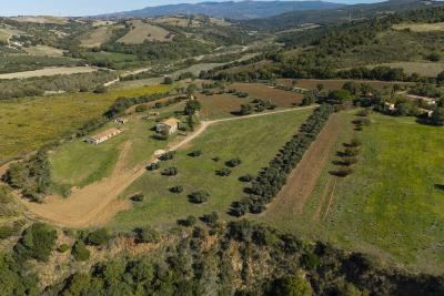 Tenuta-in-vendita-nella-Maremma-Toscana--14-