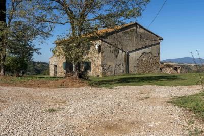 Tenuta-in-vendita-nella-Maremma-Toscana--23-