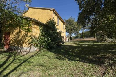 Tenuta-in-vendita-nella-Maremma-Toscana--41-