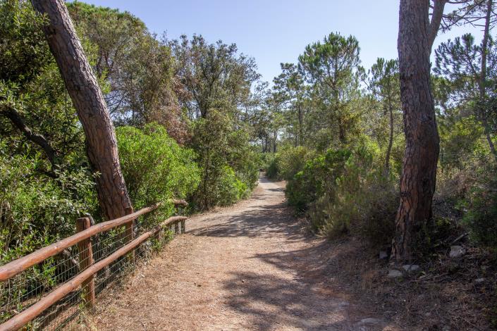 Image No.35-6 Bed Villa / Detached for sale