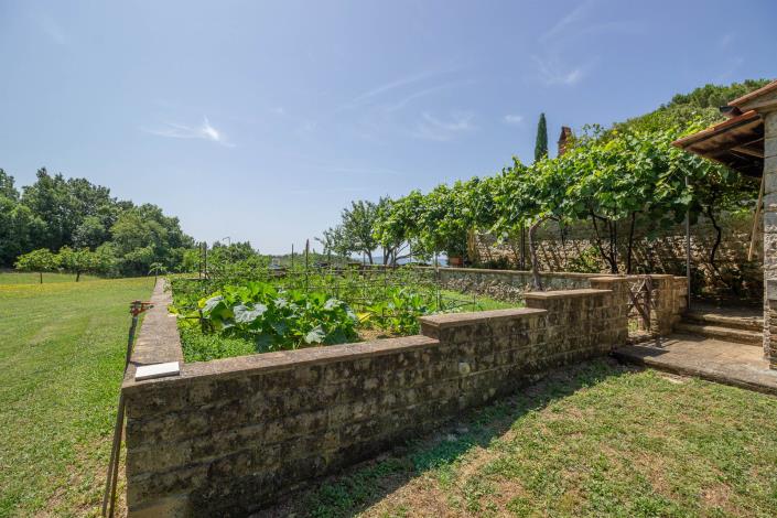 Image No.9-Ferme de 8 chambres à vendre à Manciano