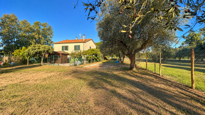 Tenuta-mediterranea-tra-gli-ulivi