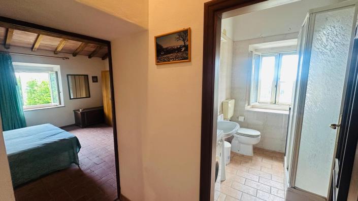 Image No.17-Maison de campagne de 3 chambres à vendre à Scansano