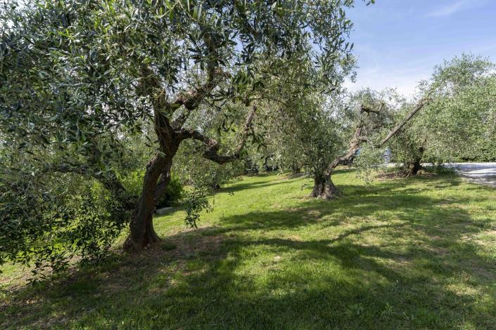 Image No.32-3 Bed Villa for sale