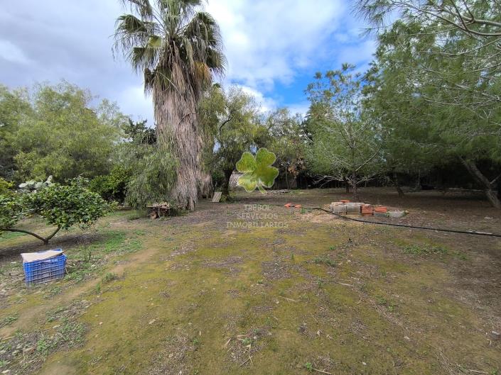 Image No.51-6 Bed Country House for sale