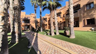 IMG_20250110_113228
