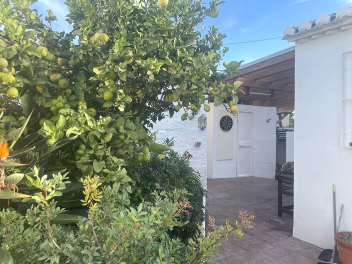 Image No.16-3 Bed Villa for sale