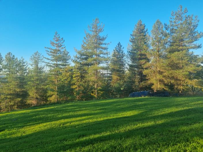 Image No.7-6 Bed House/Villa for sale