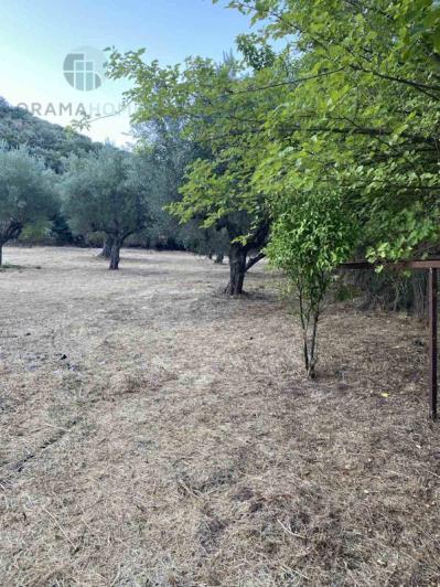 Image No.16-3 Bed House for sale