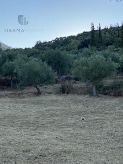 Image No.17-3 Bed House for sale