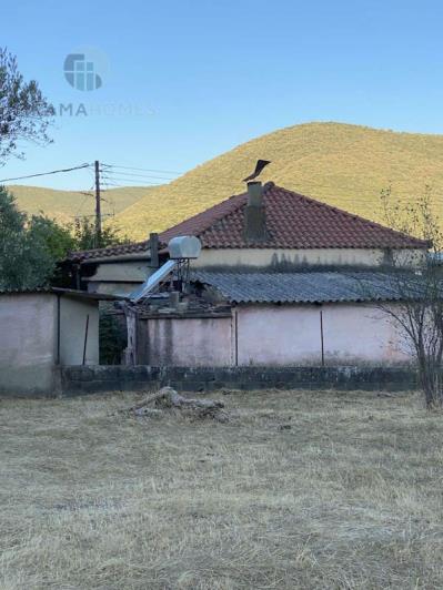 Image No.12-3 Bed House for sale