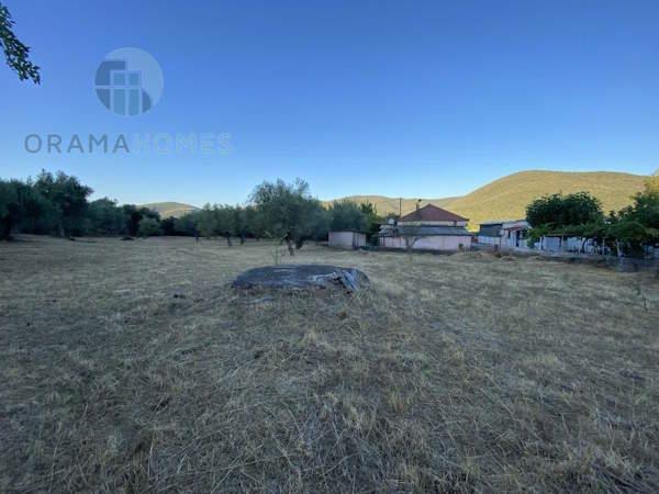 Image No.18-3 Bed House for sale