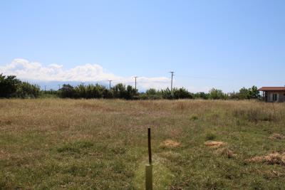 WhatsApp-Image-2026-02-10-at-12-07-14-PM--1-