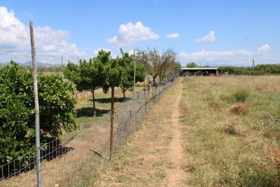 WhatsApp-Image-2026-02-10-at-12-07-13-PM