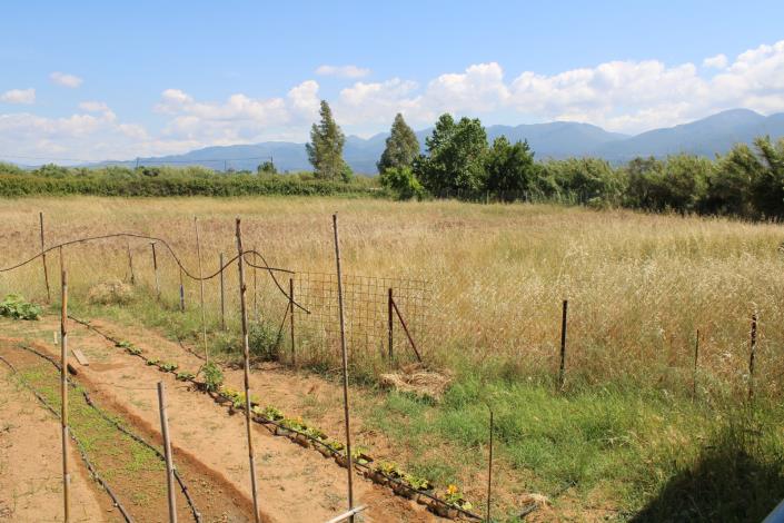 Image No.16-2 Bed House for sale