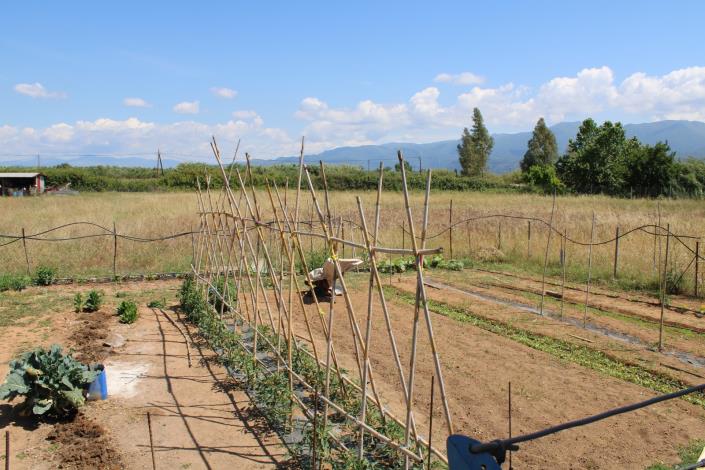 Image No.18-2 Bed House for sale