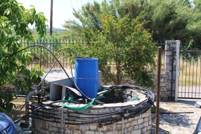 WhatsApp-Image-2026-02-10-at-12-07-19-PM