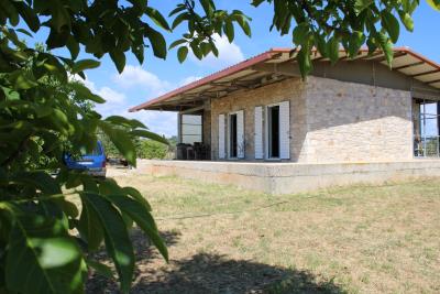 WhatsApp-Image-2026-02-10-at-12-07-27-PM--1-