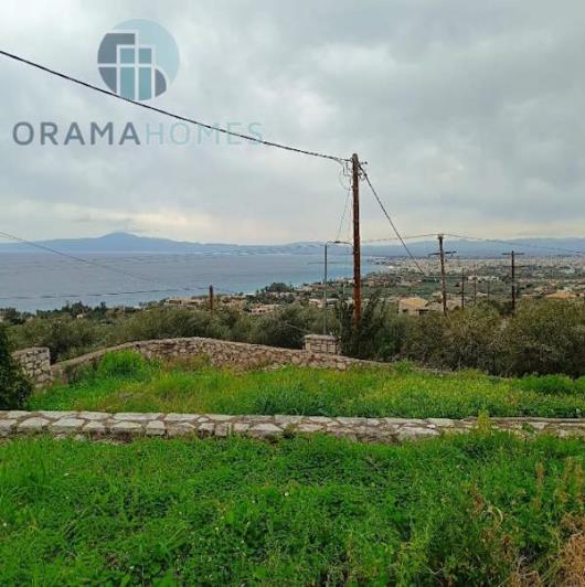 Image No.12-3 Bed House for sale