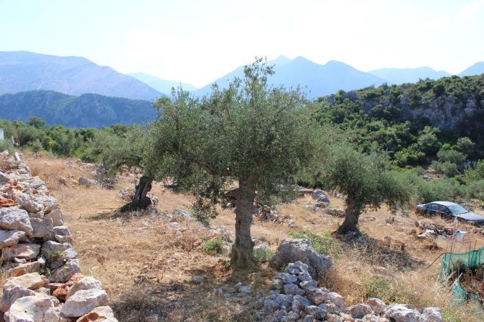 Image No.10-Maison de 3 chambres à vendre à Kardamyli