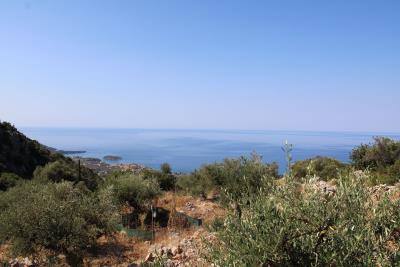 WhatsApp-Image-2026-02-11-at-9-11-25-AM--1-