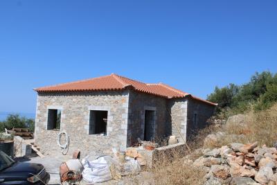 WhatsApp-Image-2026-02-11-at-9-11-25-AM