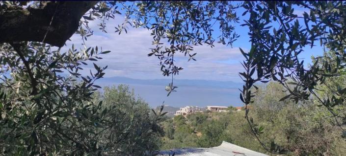 Image No.2-Terre à vendre à Kalamata