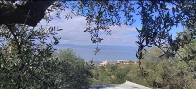 WhatsApp-Image-2026-02-11-at-3-25-42-PM--1-