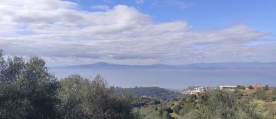 WhatsApp-Image-2026-02-11-at-3-25-42-PM