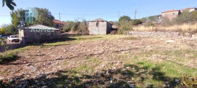 WhatsApp-Image-2026-02-11-at-10-05-12-AM--1-