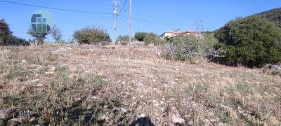 WhatsApp-Image-2026-02-11-at-10-05-12-AM--3-