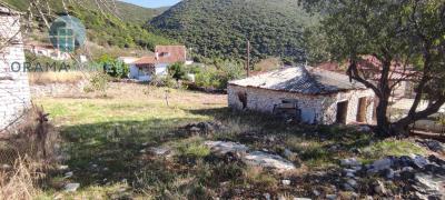 WhatsApp-Image-2026-02-11-at-10-05-12-AM