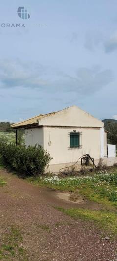 Image No.8-Terre à vendre à Meligalas