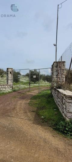 Image No.7-Terre à vendre à Meligalas