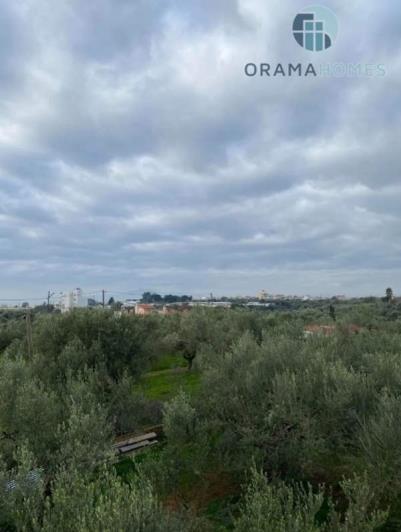 Image No.2-Land for sale