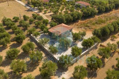 ------_Viber_2025-08-25_09-27-41-091