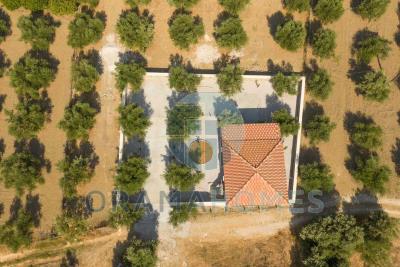 ------_Viber_2025-08-25_09-27-41-522