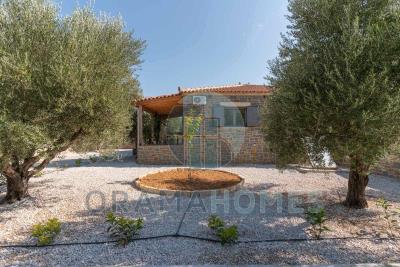 ------_Viber_2025-08-25_09-27-43-341