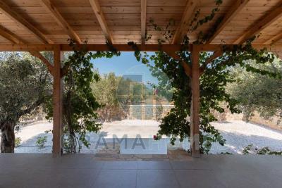 ------_Viber_2025-08-25_09-27-43-556