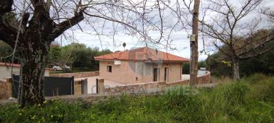 ------_Viber_2026-03-30_11-29-22-707