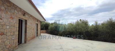 ------_Viber_2026-03-30_11-29-24-209