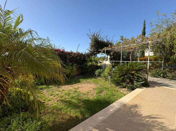 Image No.25-3 Bed House for sale