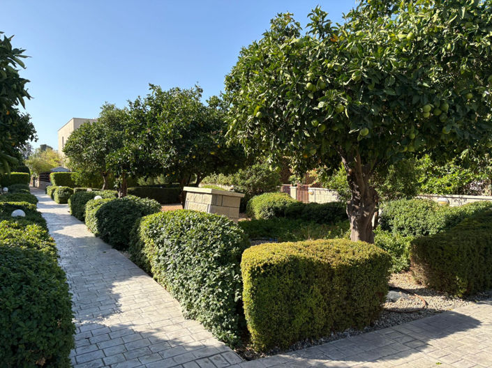 Image No.36-3 Bed House for sale