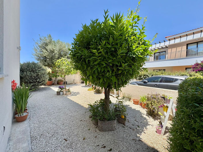 Image No.25-3 Bed House for sale