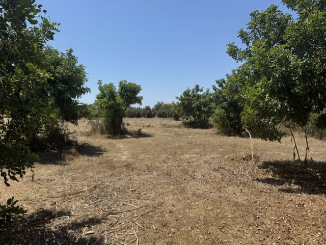 Image No.3-Land for sale