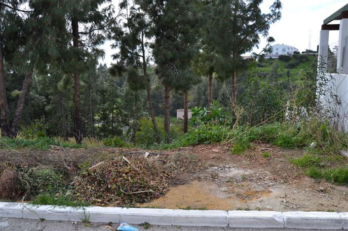 Image No.4-Property for sale