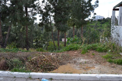 4-c23c0f86247804fa50226aecd8b0b2c8