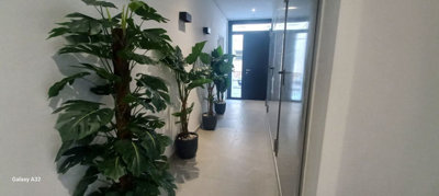 15-11d12f2f454f2f5e9b981fdd8b901d51